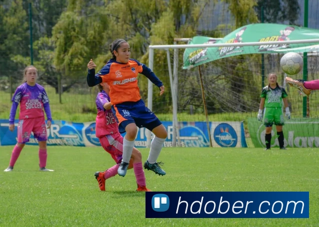 开云在线登录入口官网品牌故事